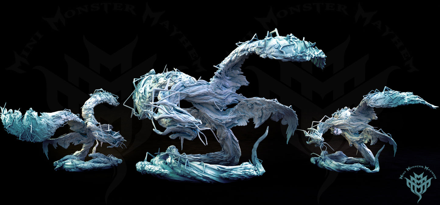 Storm Dragon
