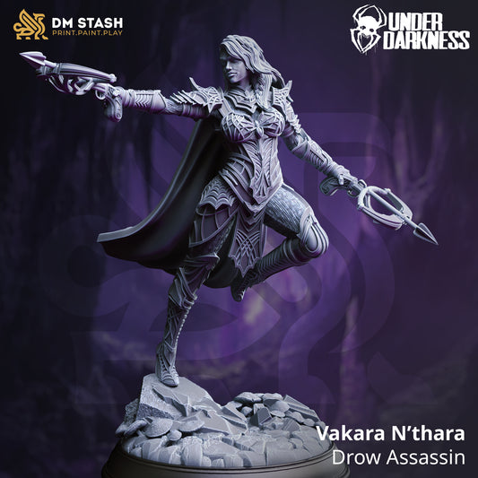 Vakara N'thara, Dark Elf Assassin