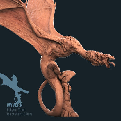 Wyvern